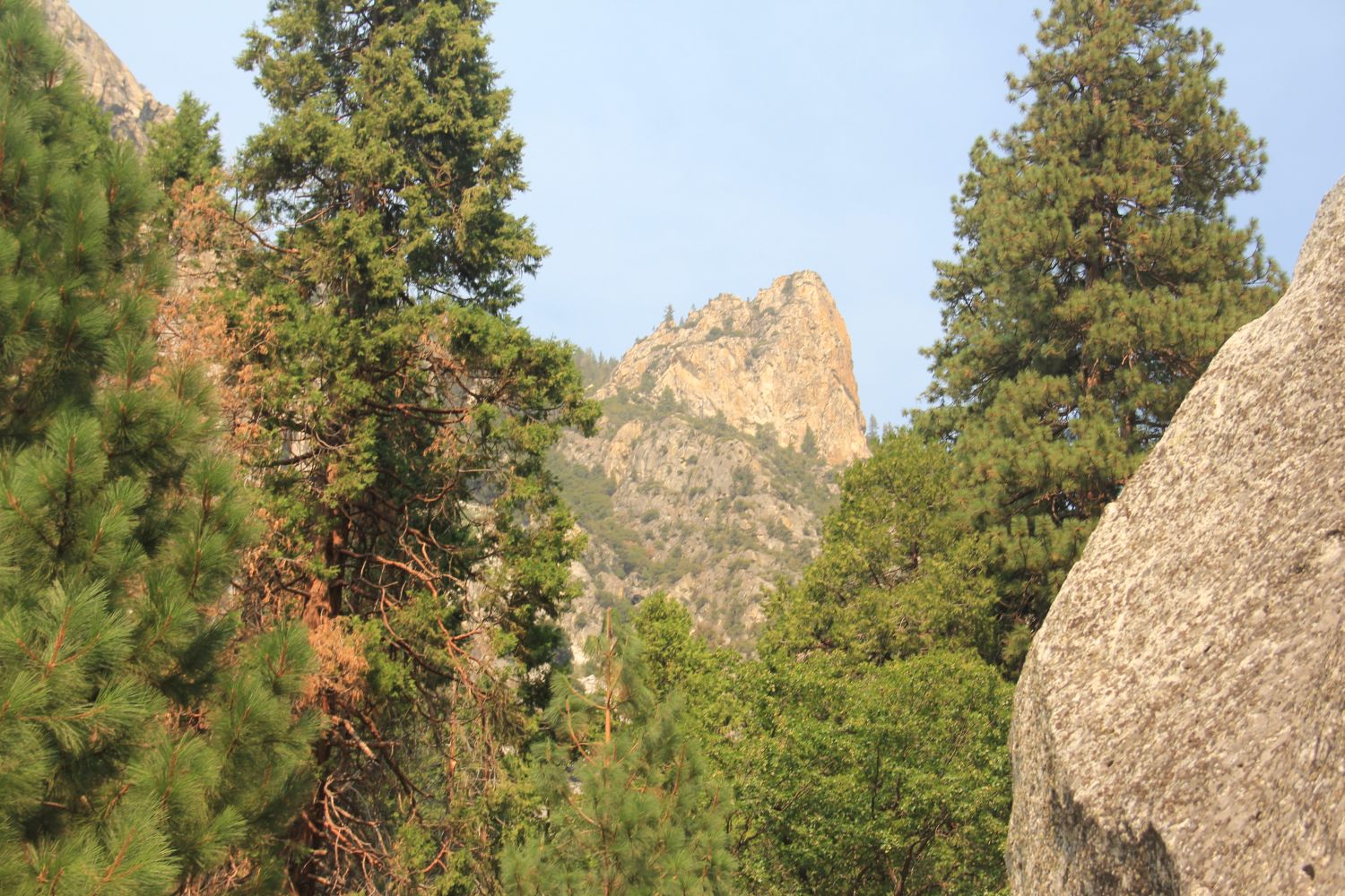 Zumwalt Meadows Trail 